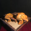 Wooden Frog Instrument | Percussion Guiro | Thai Handmade | Mango Wood