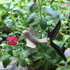 Hummingbird Wood Wind Spinner | Mobile - Thai Handicrafts